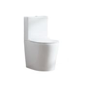 Manhattan Fully Enclosed Close Coupled Pan Includes Seat &amp;amp; Cover image