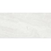 Elbert White 120x60 Honed