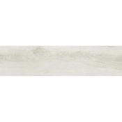 Forever Tilo 100x25