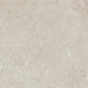 Cruise Greige 100x100 NAT