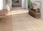 Canem Terra 20x20 Matt Porcelain Wall and Floor Tile