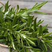 Rosmarinus Officinalis image