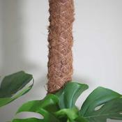 Moss Pole (80 cm) image