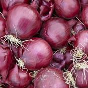 Red Baron Onions image