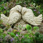Love Doves image