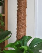 Moss Pole (120 cm) image