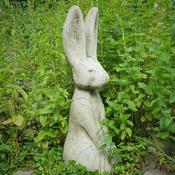 Rustic Hare image