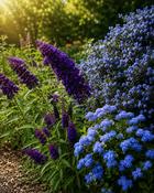Pollinators Paradise Gift Set