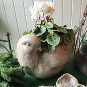 Bird Planter image