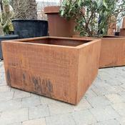 Square Plant Container On Wheels