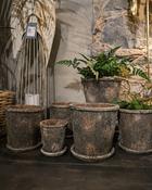 Antique Pot Cyra - Medium (D 16 x H 15 cm) image