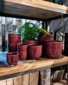 Flower Pot Novia Berry - Extra Small (D 8 x H 7 cm) image