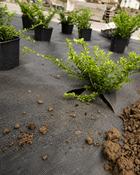 Ground Control Fabric (Ground-Mat Co-mat®) – 1.5m × 100m