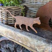 Cat With Thorn