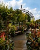 Pointed Rose Arch Advance Small (140 x H 250 cm)