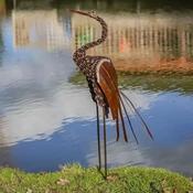 Large Blue Crane