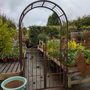 Rose Arch with Gate Branches