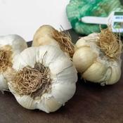 Garlic Messidrome - Seeds image