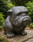 Bulldog