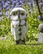 Small White Owl