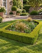 Buxus Sempervirens Common Box (40-45 cm)