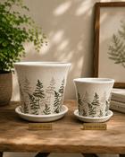 Pot with Tray Fern (D 16 x H 14 cm)