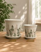 Pot with Tray Fern (D 22 x H 19 cm)