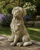 Upright Labrador