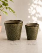 Green Ceramic Planter (D17cm × H16cm) image