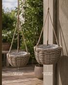 Hanging Basket (D 33 x H 28 cm / 76 cm Drop) image