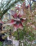Wind Wheel on Stick (27 x 9 x H 129,5 cm)