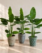 Artificial Houseplant (180 cm)