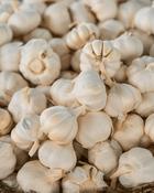 Garlic Sabadrome (3 Bulbs)