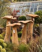 Wooden Mushroom Set of 4