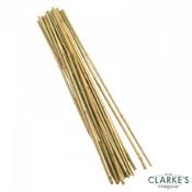 Bamboo Canes - 90cm | Bundle of 20 image