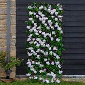 Cherry Blossom Trellis