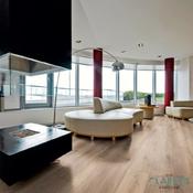 Dynamic Wells Oak 4V 8mm Laminate Flooring
