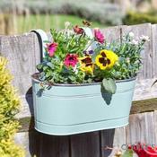 Fence and Balcony Hanging Sage Planter 12"