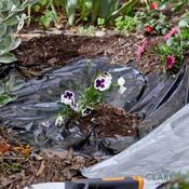 G30 Pro Mulch Sheet 1 x 10 Meter