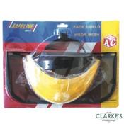 SafeLine Mesh Visor