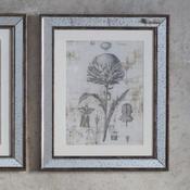 Botanical Study Art