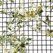 Climbing Plant &amp; Fencing Mesh 20mm, 1 x 5m Brown
