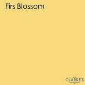 Fleetwood First Blossom Colour Advanced Sainwood 5 Litre