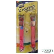 ProSolve 1 Tonne Rachet Straps | Set of 2