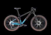 Marin Bobcat Trail 5