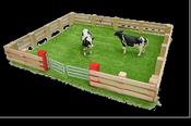 Millwood Magnetic Fence and Grass