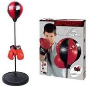 Punchball, Gloves &amp; Stand