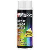Morris Acrylic Colour Spray Paint Matt White 400ml - RAL 9010