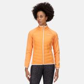 Regatta Women's Clumber II Hybrid Insulated Jacket Papaya - 14 image
