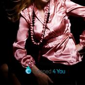 Silk Shirt/Blouse Press image